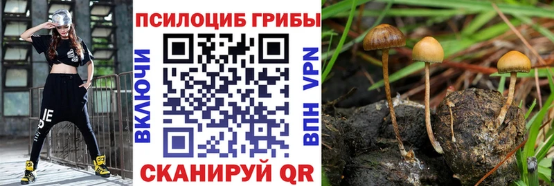 Галлюциногенные грибы прущие грибы  Жуков 